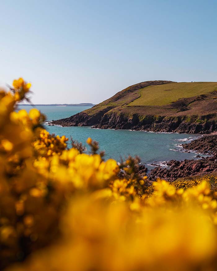 Pembrokeshire Coast
